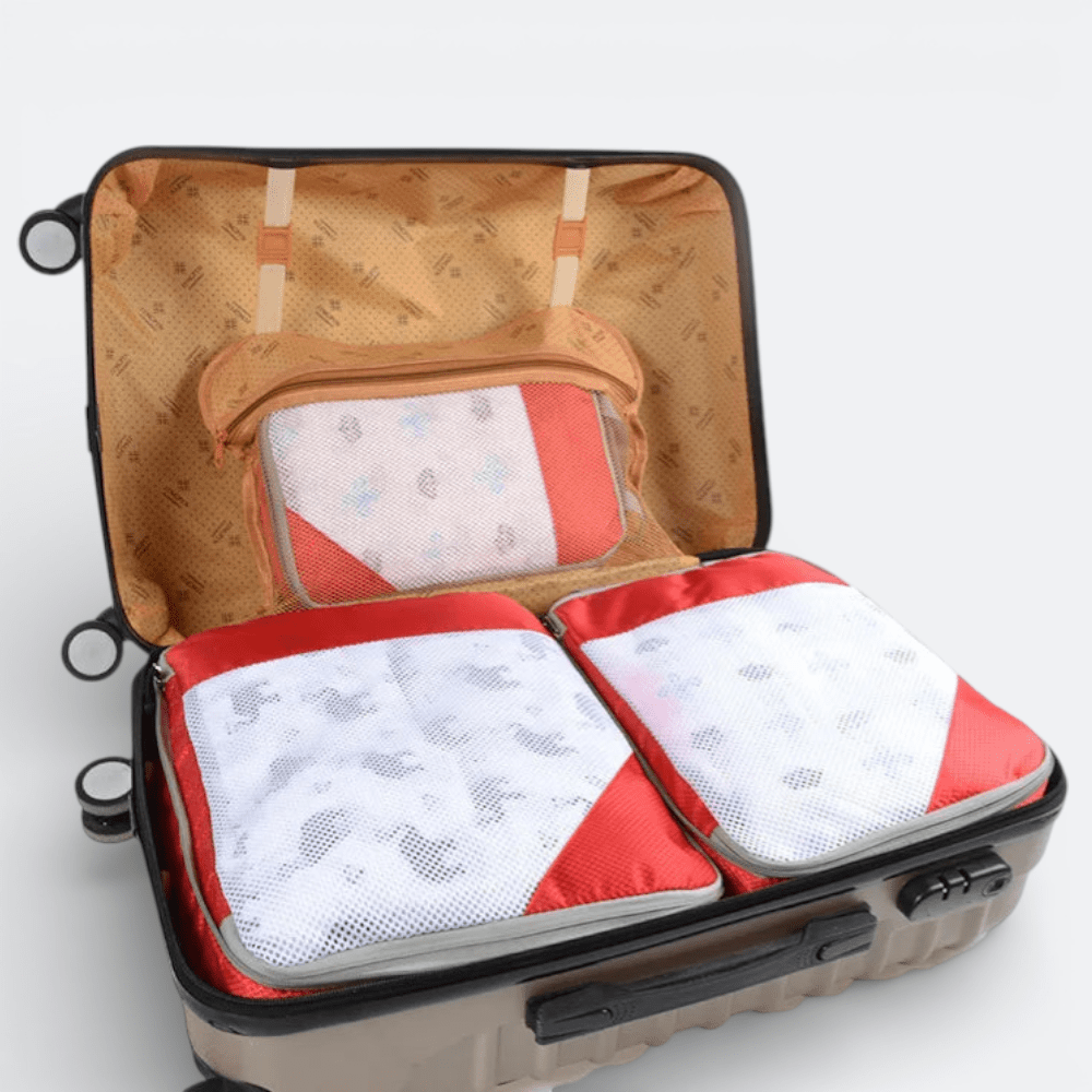Organisateur Valise Cabine Gris Perle - | AïtaVia